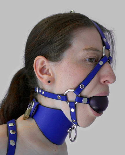 File:Harness gag and collar.jpg