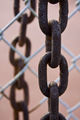 Chain-link-fence.jpg