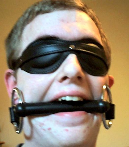 File:Blindfold and bit gag.jpg