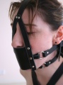 Muzzle gag2.jpg