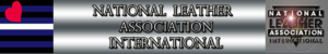 NLAI Logo.png