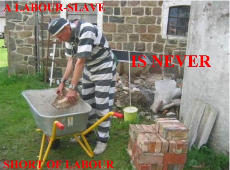 File:A Labourslave is never short of labour.jpg