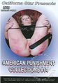 American punishment collection 14.jpg